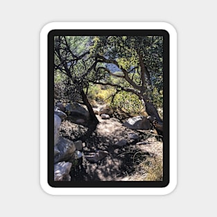 Desert Hike Magnet