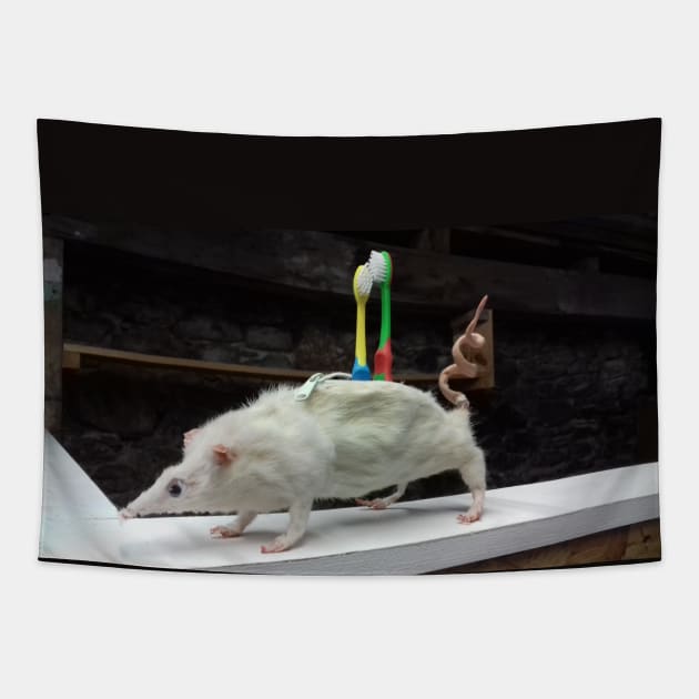 Rat Toothbrush Holder Tapestry by WorldAroundEwe