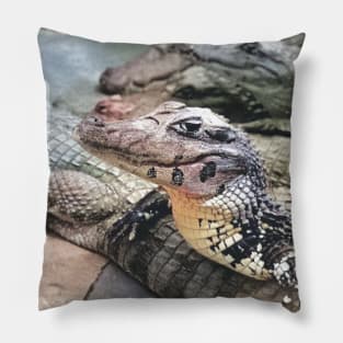 colorized vintage photo of caiman Pillow