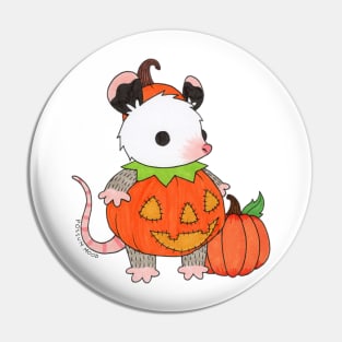 Pumpkin Costume Pin