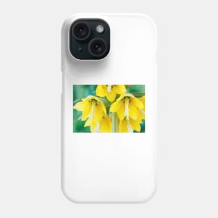 Fritillaria imperialis  &#39;Maxima Lutea&#39;  AGM  Crown imperia Phone Case