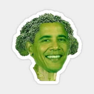 Barackoli Magnet