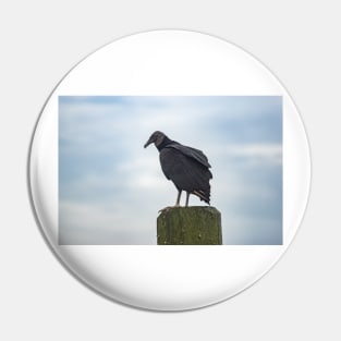 Turkey Vulture in Calabash Pin