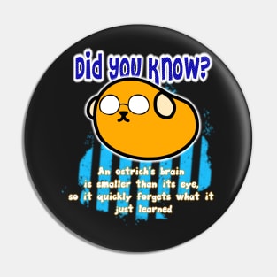 Did you know? 16 Pin