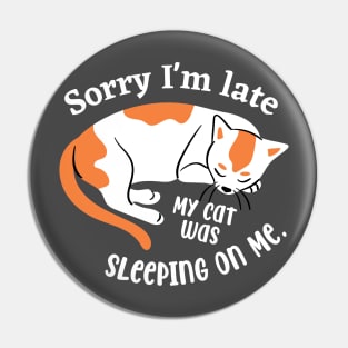 Ginger Cat Sleeping Pin