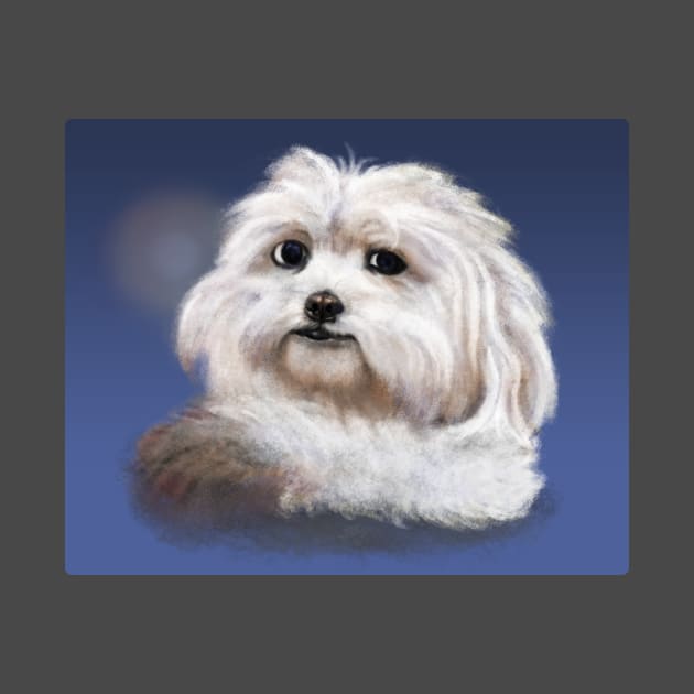 Shih Tzu by Potato-Yi