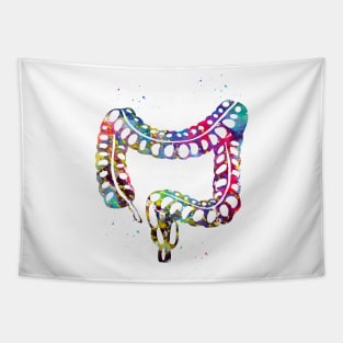 Lower gastrointestinal tract Tapestry