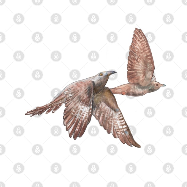 Cuckoo Birds in Flight Illustration by Julia Doria Illustration