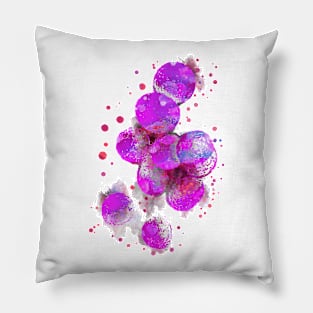 Staphylococcus aureus Pillow