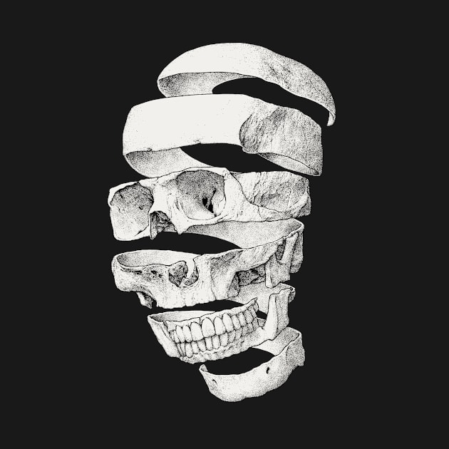 Peeled Skull by Moutchy