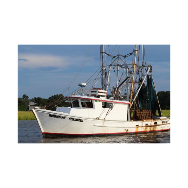 Hurricane Shrimper by Cynthia48