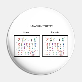 Human karyotype Pin