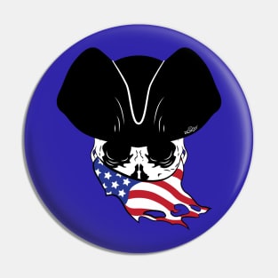 USA Pirate Logo Pin