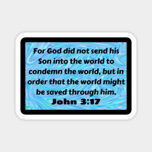 Bible Verse John 3:17 Magnet