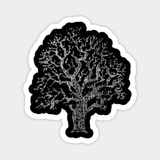 Tree Figure with Abstract Texture (nibulissa_02) Magnet