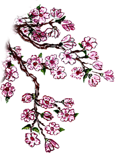 Painted Sakura Branch Magnet