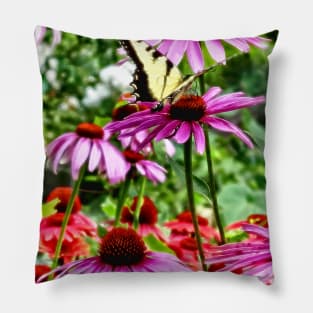 Butterflies - Tiger Swallowtail On Coneflower Pillow