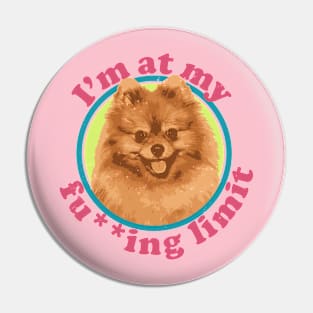 I'm at my fu**ing limit Pin