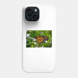 Monarch Butterfly 3 Phone Case