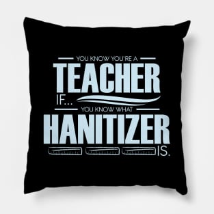 You're A Teacher If You Know What Hanitizer Is Pillow