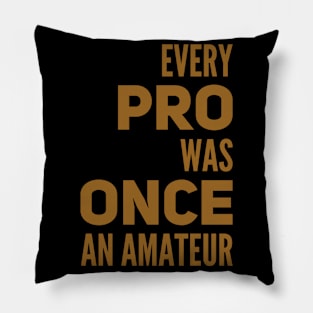 Every pro was once an amateur Pillow