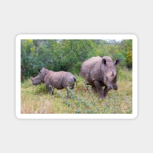 Rhino mother and baby foraging Magnet