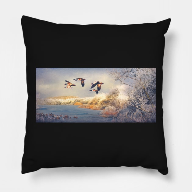 Shades of winter. Pillow by Tarrby