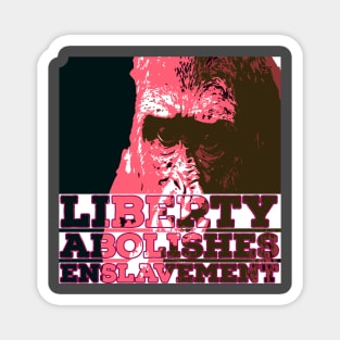 Liberty | Freedom | Enslavement Magnet