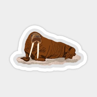 Pacific Walrus Magnet