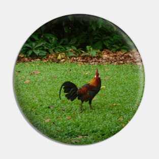 Red Jungle Fowl Amidst Lush Greenery Pin