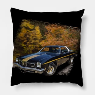 1974 Hurst Olds 442 in our fall day series on back Pillow