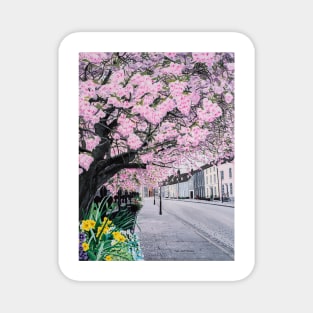 Cherry Blossom on Crown Street Painting Magnet
