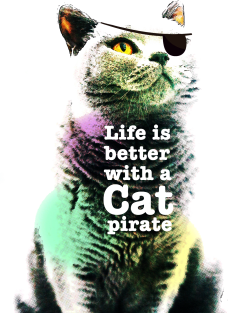 Life is better with a cat pirate Magnet