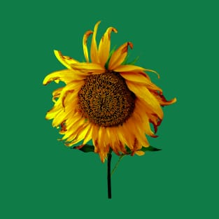 Sunflower With Center Part T-Shirt