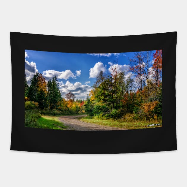 Dirt Road on a Sunny Autumn Day Tapestry by kenmo