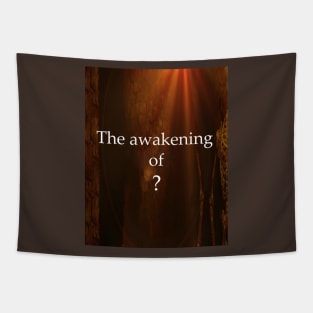 The awakening of Tapestry