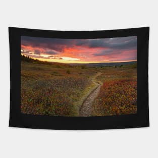 Dolly Sods Twilight Trail Tapestry