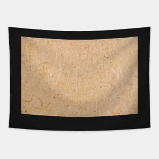 Wood background Tapestry