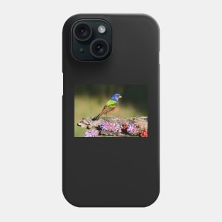 Painted Bunting Bird Male Phone Case