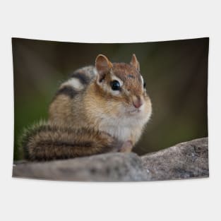 Chipmunk Tapestry