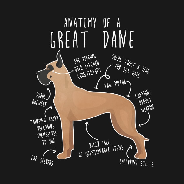 Cropped Fawn Great Dane Dog Anatomy by Psitta