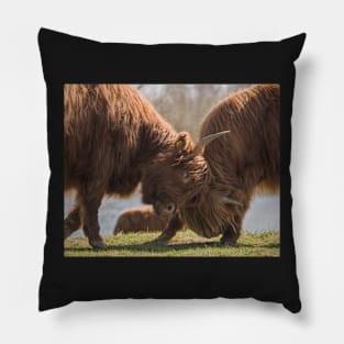 Bulls Fight Pillow