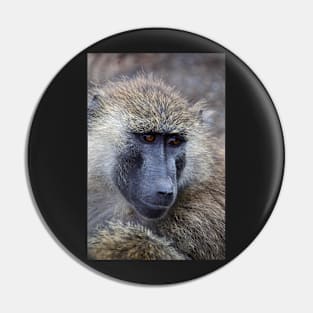 Olive Baboon Portrait Pin