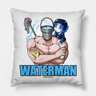 WATERMAN Pillow