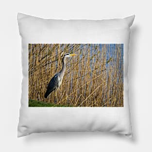 Grey Heron among the reeds Pillow