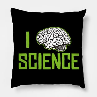 I Love Science Pillow