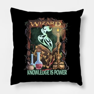 Wizard Knowledge is Power Dragons D20 RPG Gamer Pillow