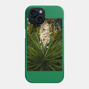 Blooming Yucca tree at sunset Phone Case