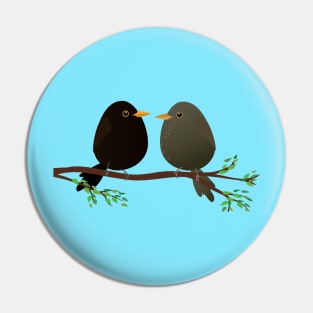 A couple of egg shaped blackbirds Pin