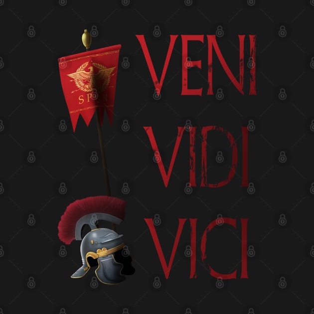 Veni Vidi Vici by Styr Designs